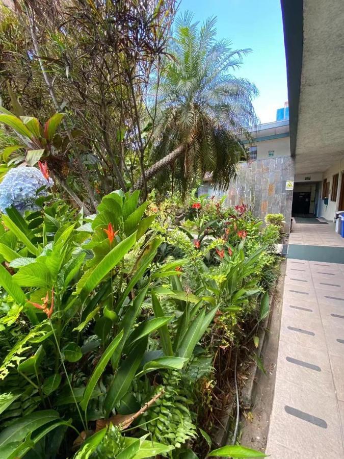 Hotel Ecological Inn San Jose (San Jose) Exterior foto